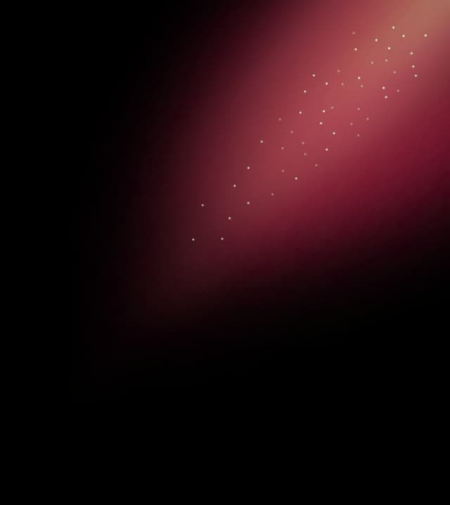 Vector